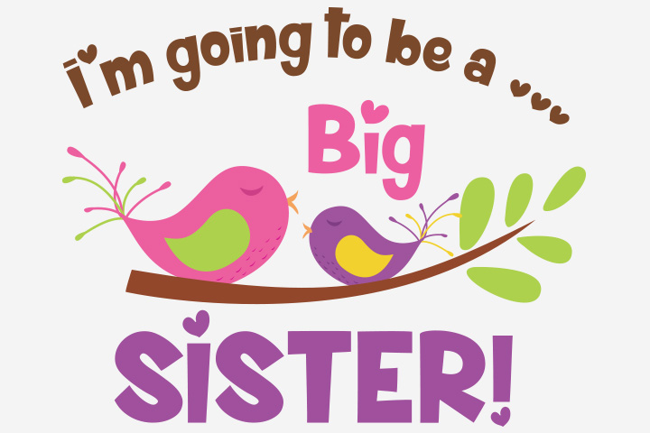 Big sister message for pregnancy announcement ideas