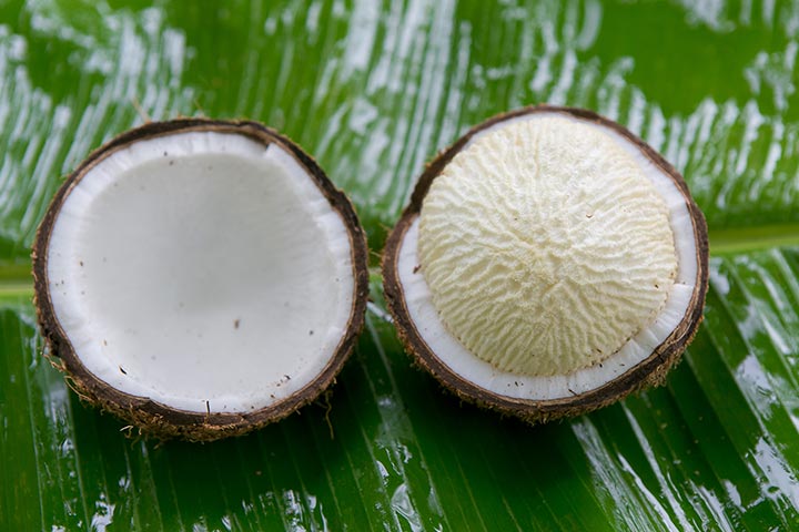 Coconut seed