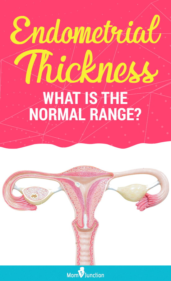 What Is Considered A Thick Endometrial Lining