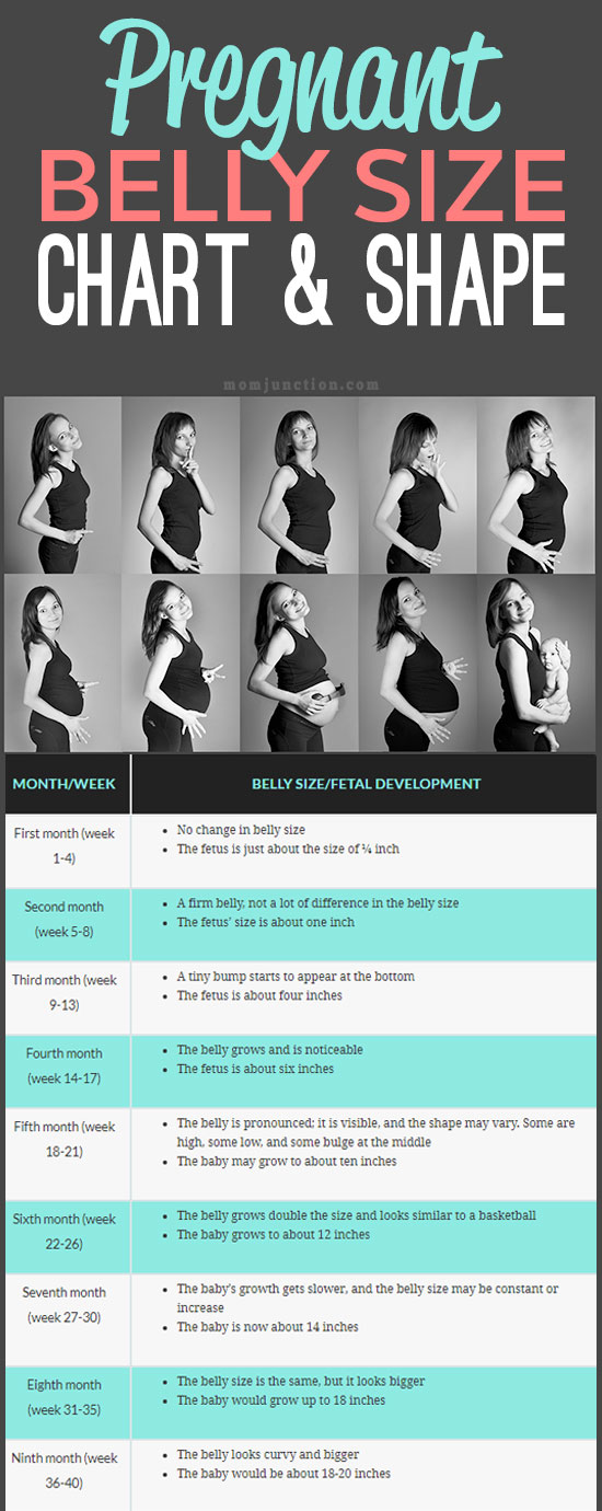 Measurements Of Belly Chart