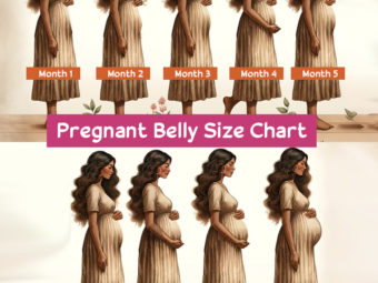 Pregnant Belly Size Chart And Shape: Things You Should Know