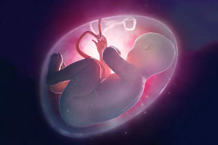 What Is Amniotic Sac