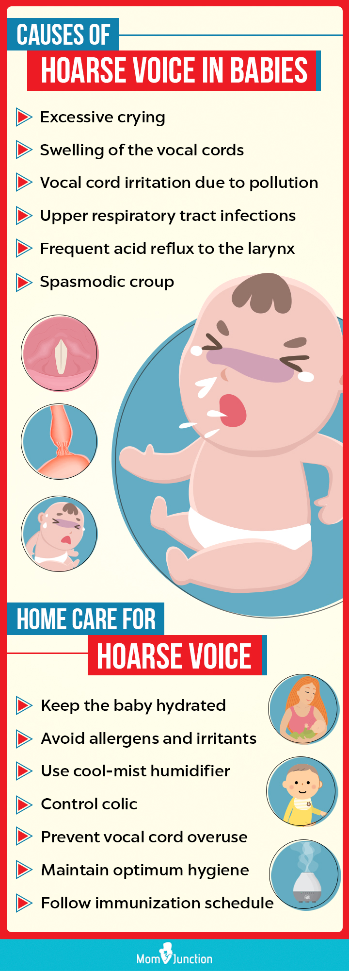 causes of hoarse voice in babies (Infographic)