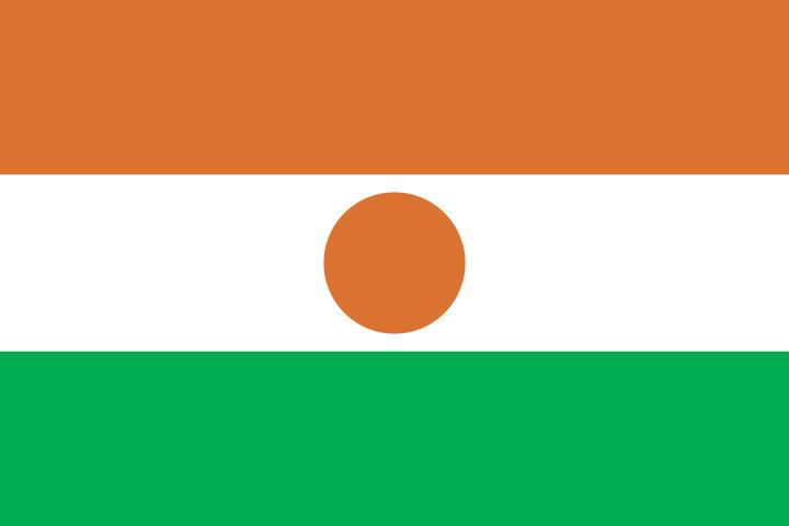 National committee for flag, Indian national flag facts for kids