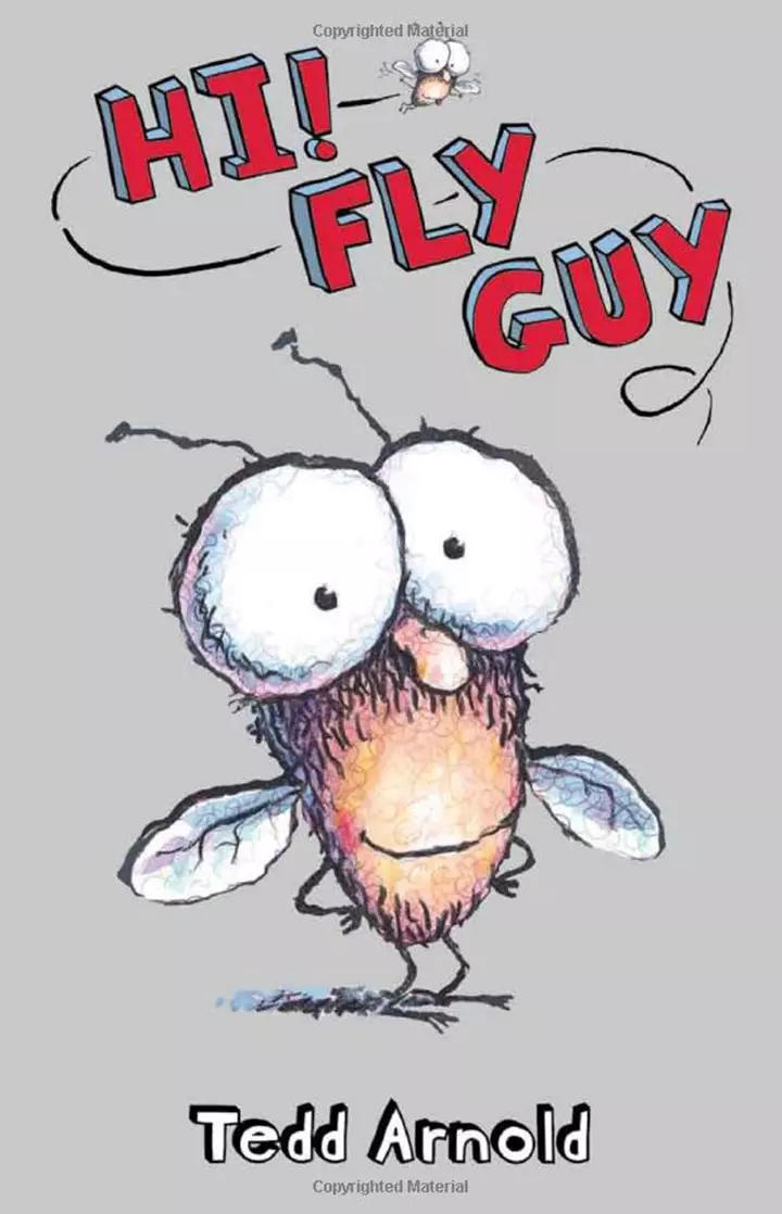 Hi! Fly Guy