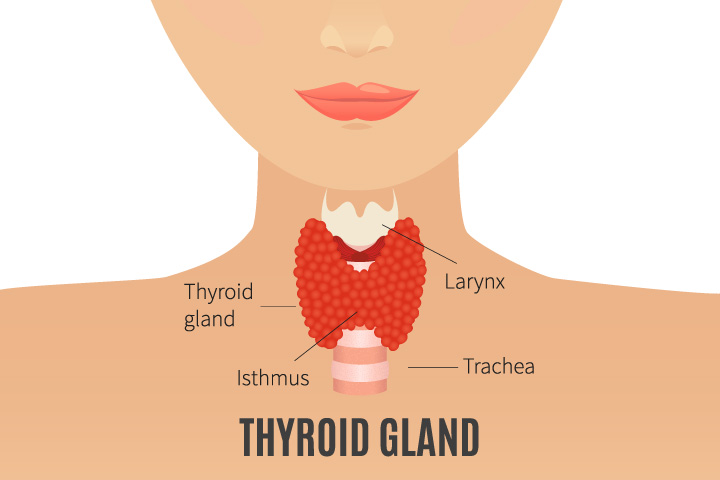 Pregnancy Mein Thyroid