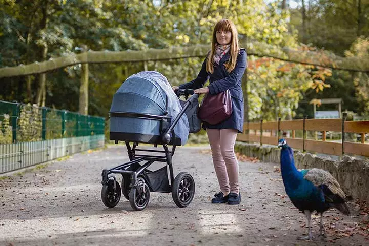  Start With A Few Steps A Day