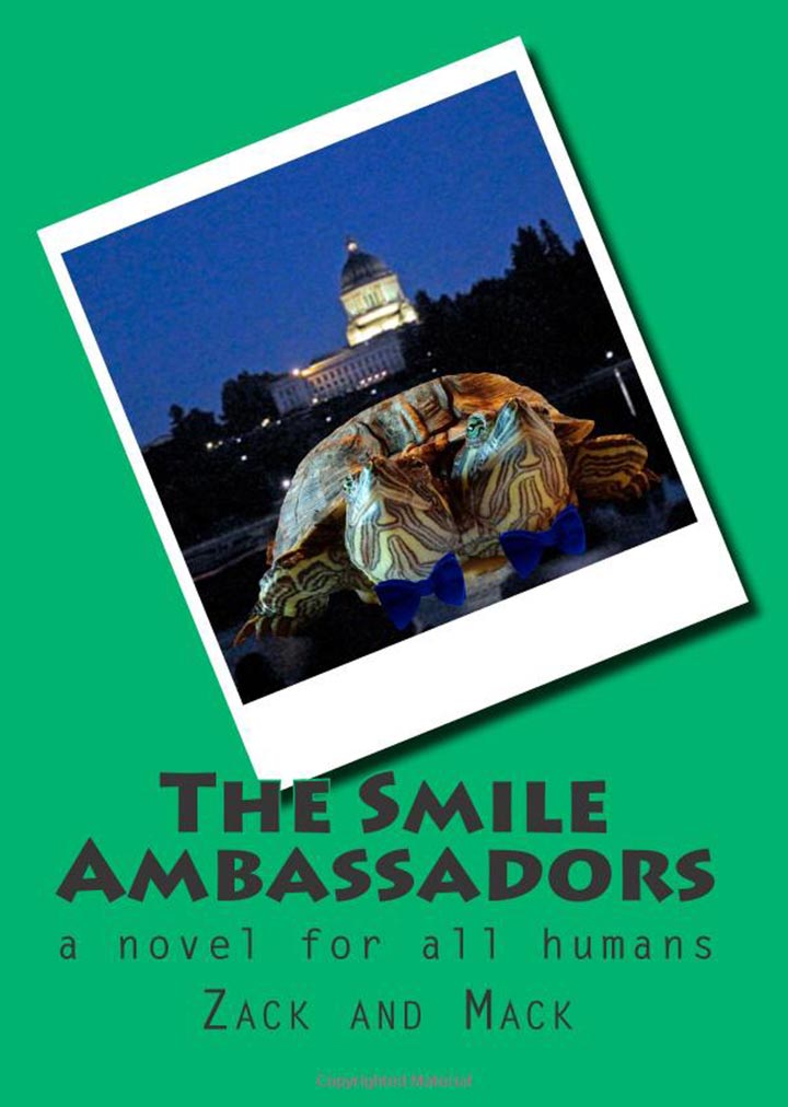 The Smile Ambassadors