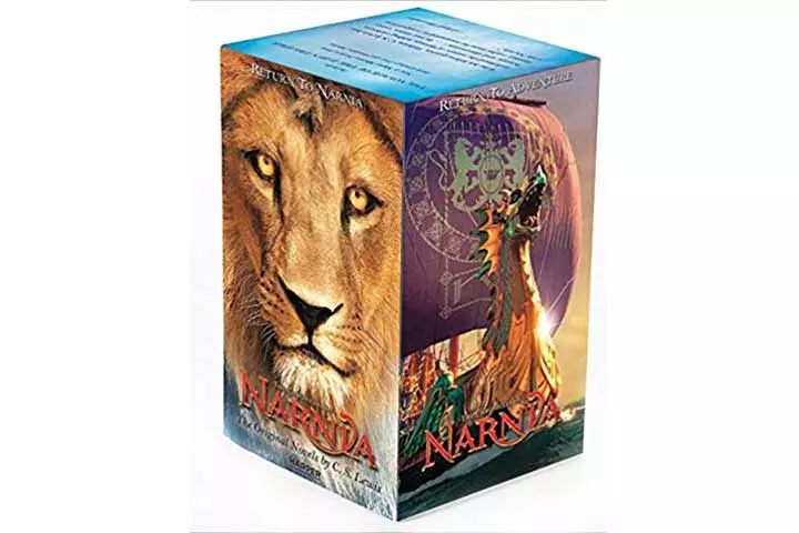 6. The Chronicles of Narnia Series