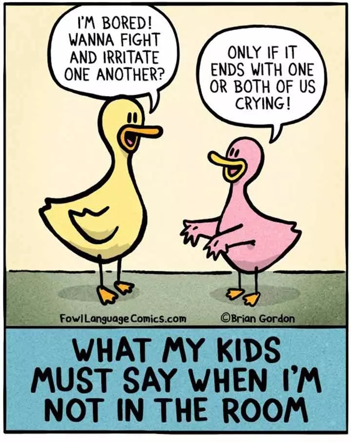 Lets Start Fighting Why Dont We