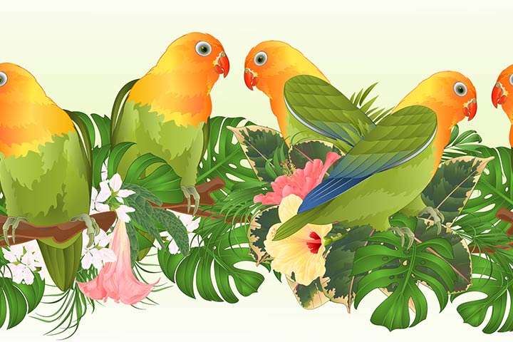 The parakeets, poems about animals for kids