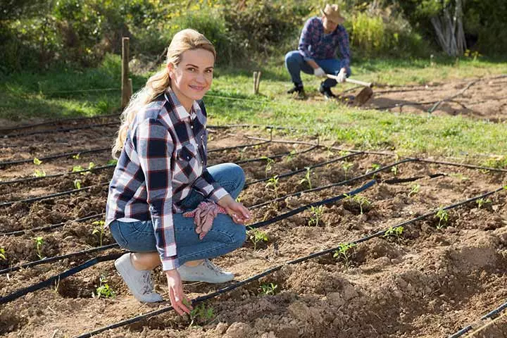 homesteading as hobbies for couples