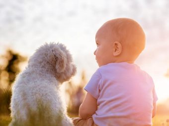 6 Advantages For Kids Who Grow Up With Dogs