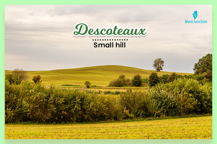 Traditional French surname meaning small hill