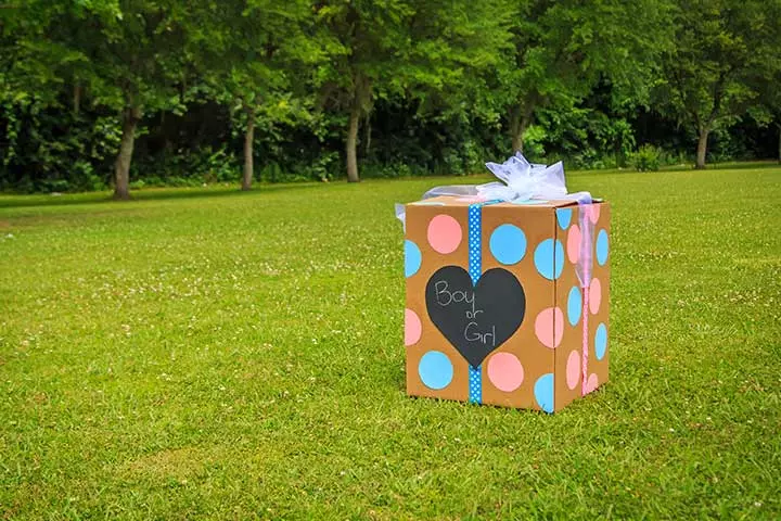 gift box gender reveal ideas