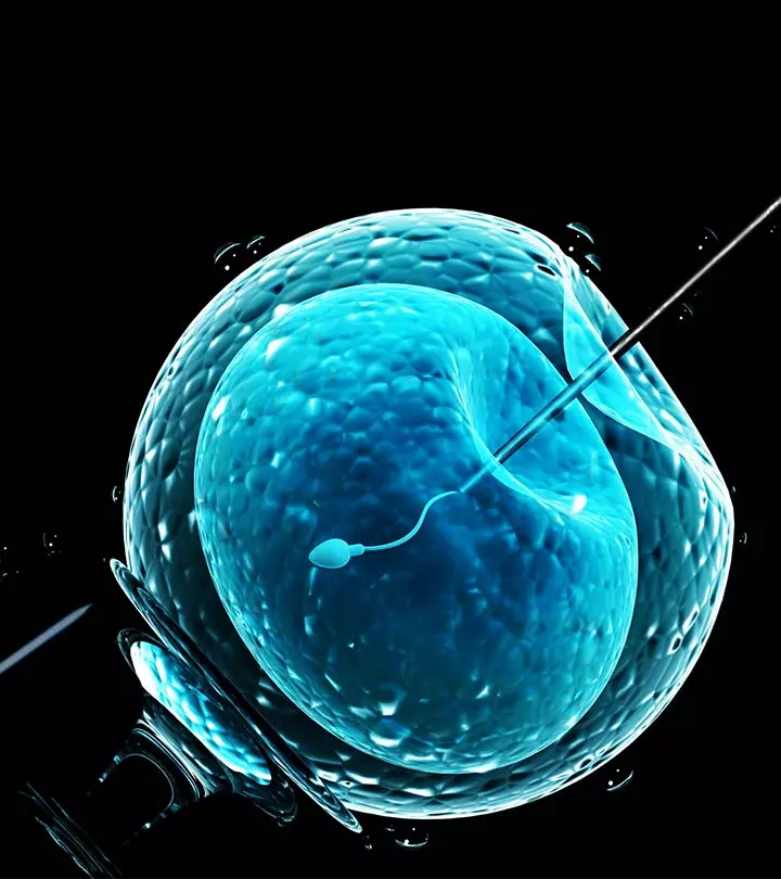 In Vitro Fertilization Procedure, Success Rates And Side Effects-1