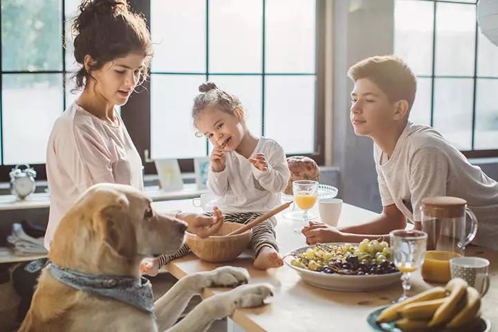 best friend for life