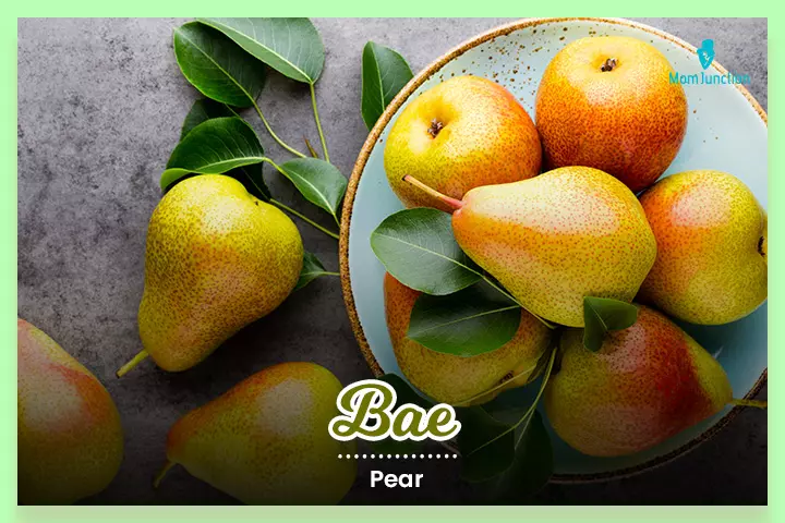 The surname Bae means pear