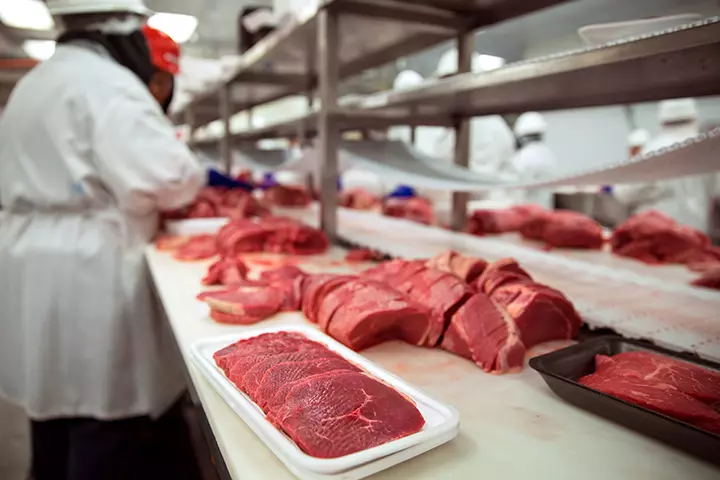 What Are Processed Foods