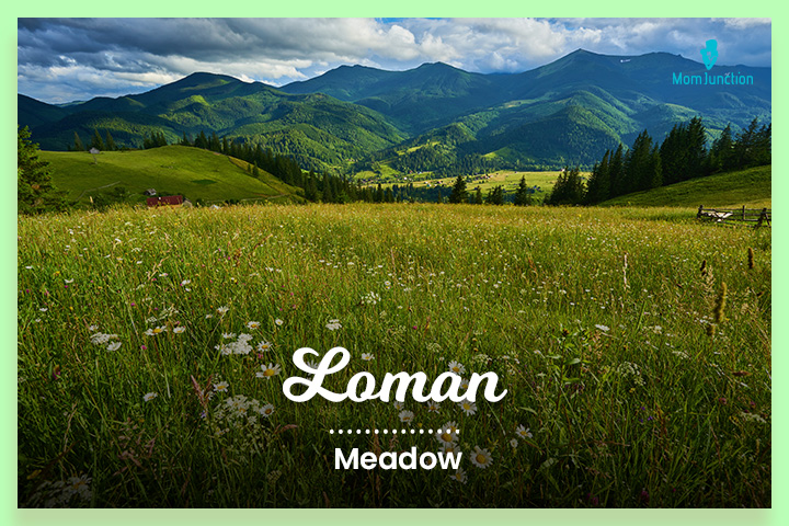 Loman comes from Old Dutch