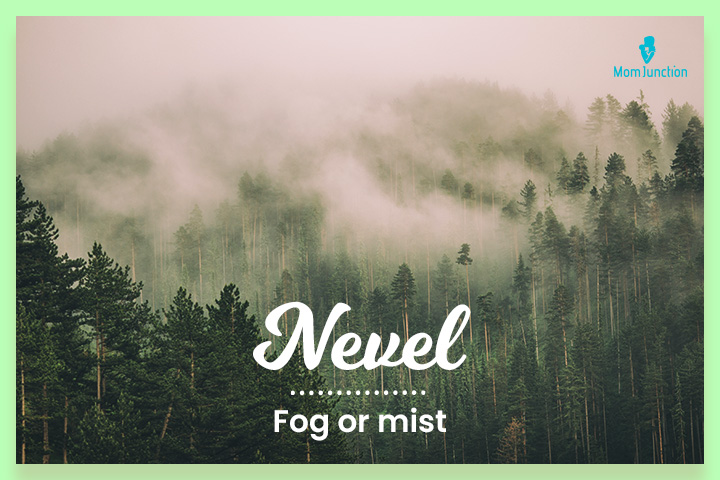 Navel means fog