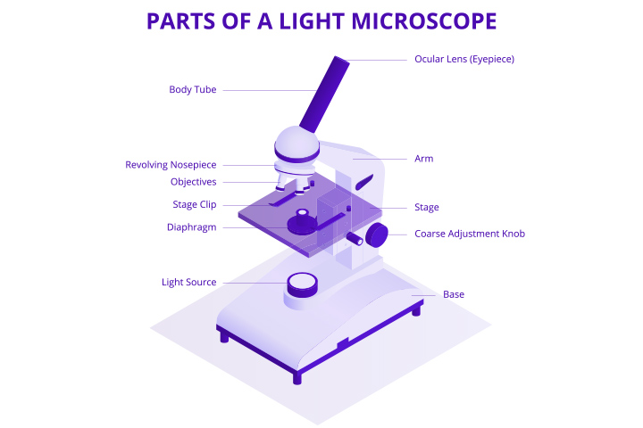Parts Of Microscope