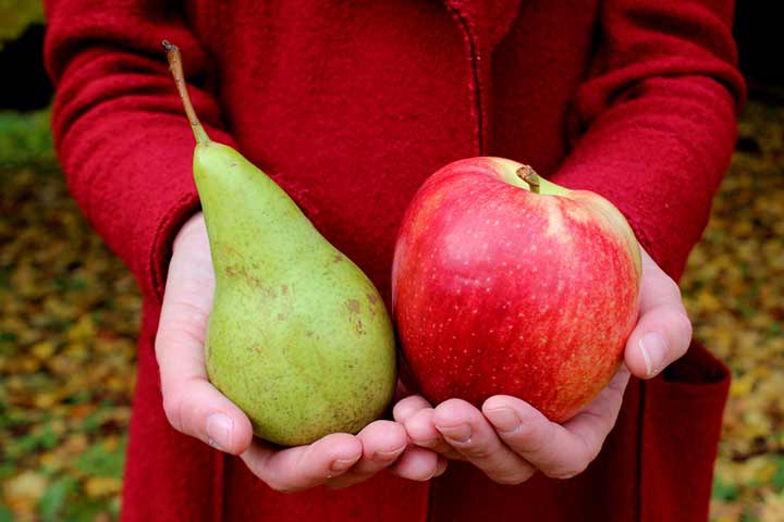 1. Pear & Apple