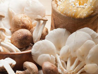 क्या प्रेगनेंसी में मशरूम खा सकते हैं? | Kya Pregnancy Me Mushroom Khana Chahiye