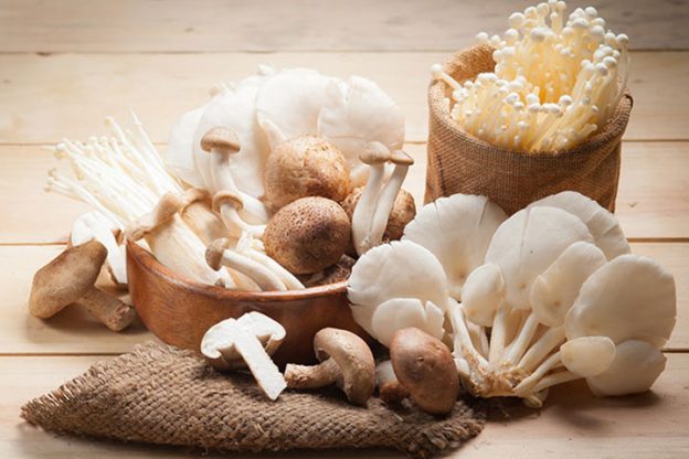 क्या प्रेगनेंसी में मशरूम खा सकते हैं? | Kya Pregnancy Me Mushroom Khana Chahiye