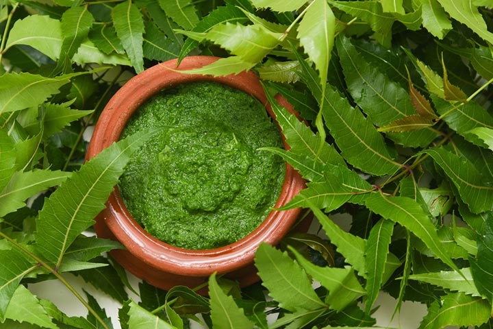 Neem Leaves For Chickenpox