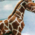 Wild Republic CK Baby Giraffe Soft Toy-Cute giraffe-By saraswathisubbu