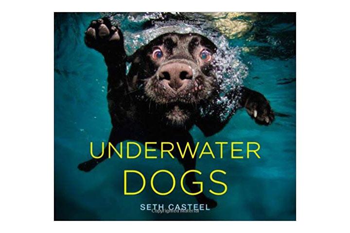 Underwater Dogs