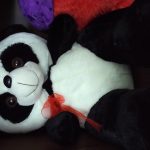 Playtoons Panda-Very cool panda-By saraswathisubbu