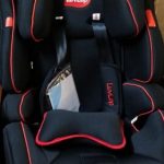 LuvLap Premier Baby Car Seat-Impressive seat from Luvlap-By devika.arangath