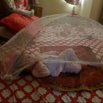 Babyhug Flower Design Mosquito Net-The Only Saviour from mosquitoes-By mridula_k