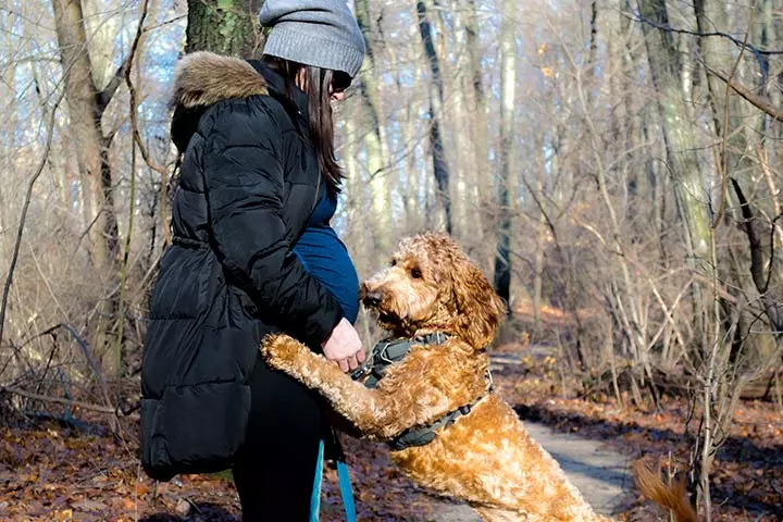 Baby Bump With Dog Photoshoot