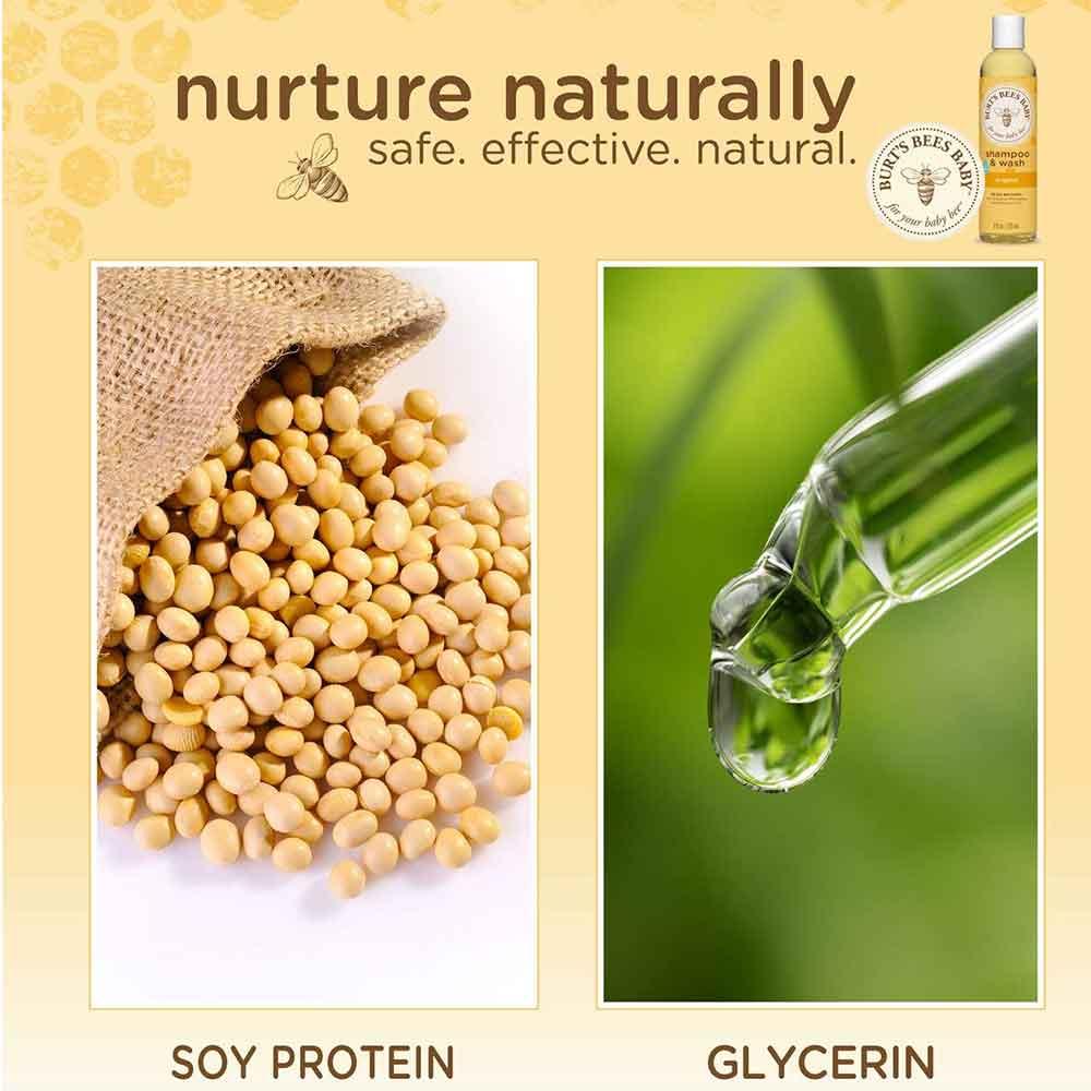 Burt's Bees Baby Bee Shampoo & Wash Reviews, Ingredients Is It Safe To