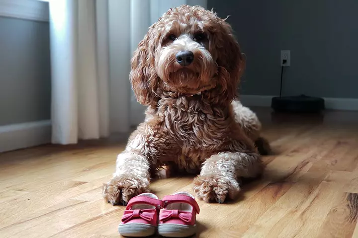 Let The Feet Do The Talking1