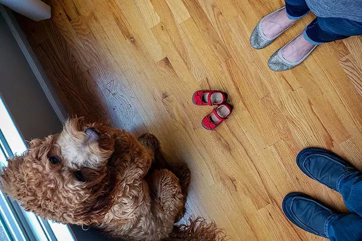 Let The Feet Do The Talking2