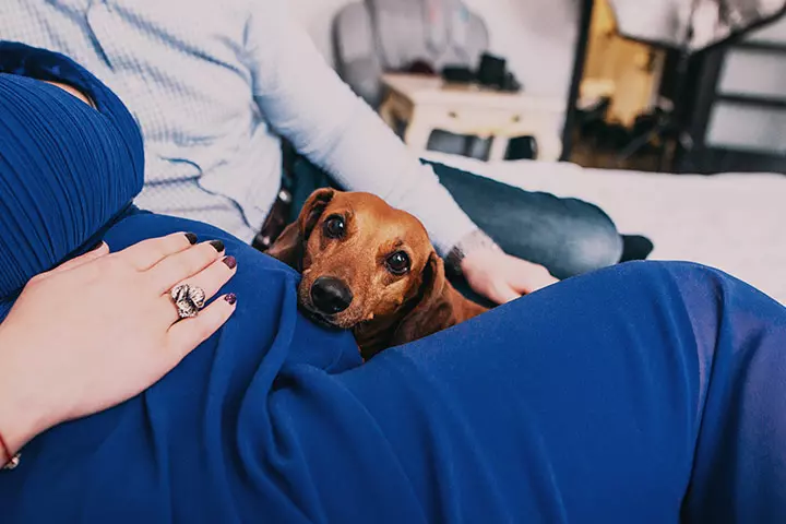 Look At Those Puppy Eyes