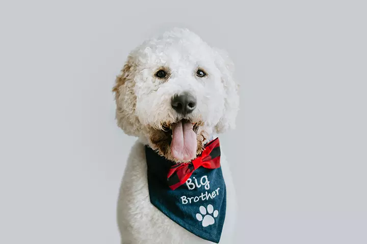 Say It With A Bandana