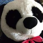 Playtoons Panda-My sons Plush collection-By jayasree0806