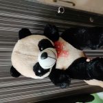 Playtoons Panda-Softy panda-By shalaka_patil