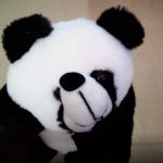Deals India Panda And Elephant Soft Toy Combo-Cute soft toy combo-By asha27