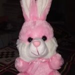 Play Toons Bunny Soft Toy-Huggable bunny by Play toons-By asha27
