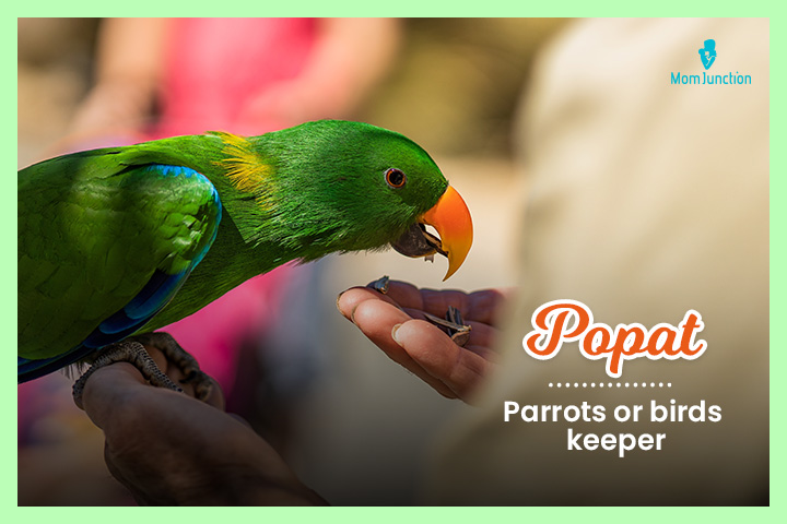 Popat, parrots or birds keeper
