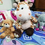 Deals India Panda And Elephant Soft Toy Combo-Cuddly companions!-By mridula_k