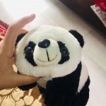 Playtoons Panda-Cute panda-By jayathapa278