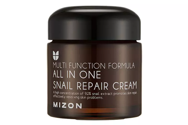 Mizon All In One Snail Repair Cream