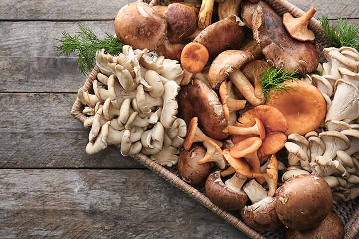 Mushrooms For Babies Safety, Health Benefits And Recipes